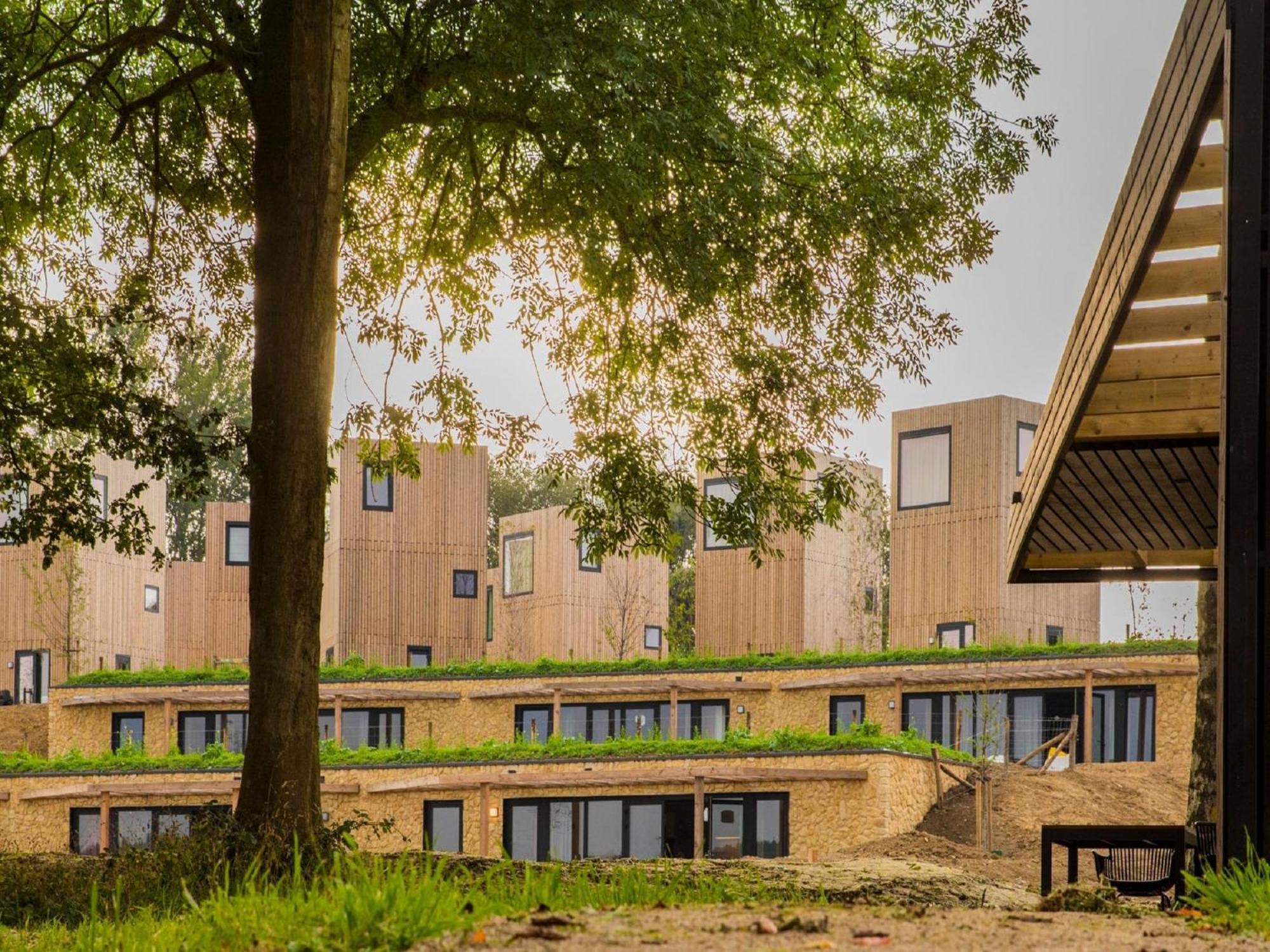 Special Hillside In