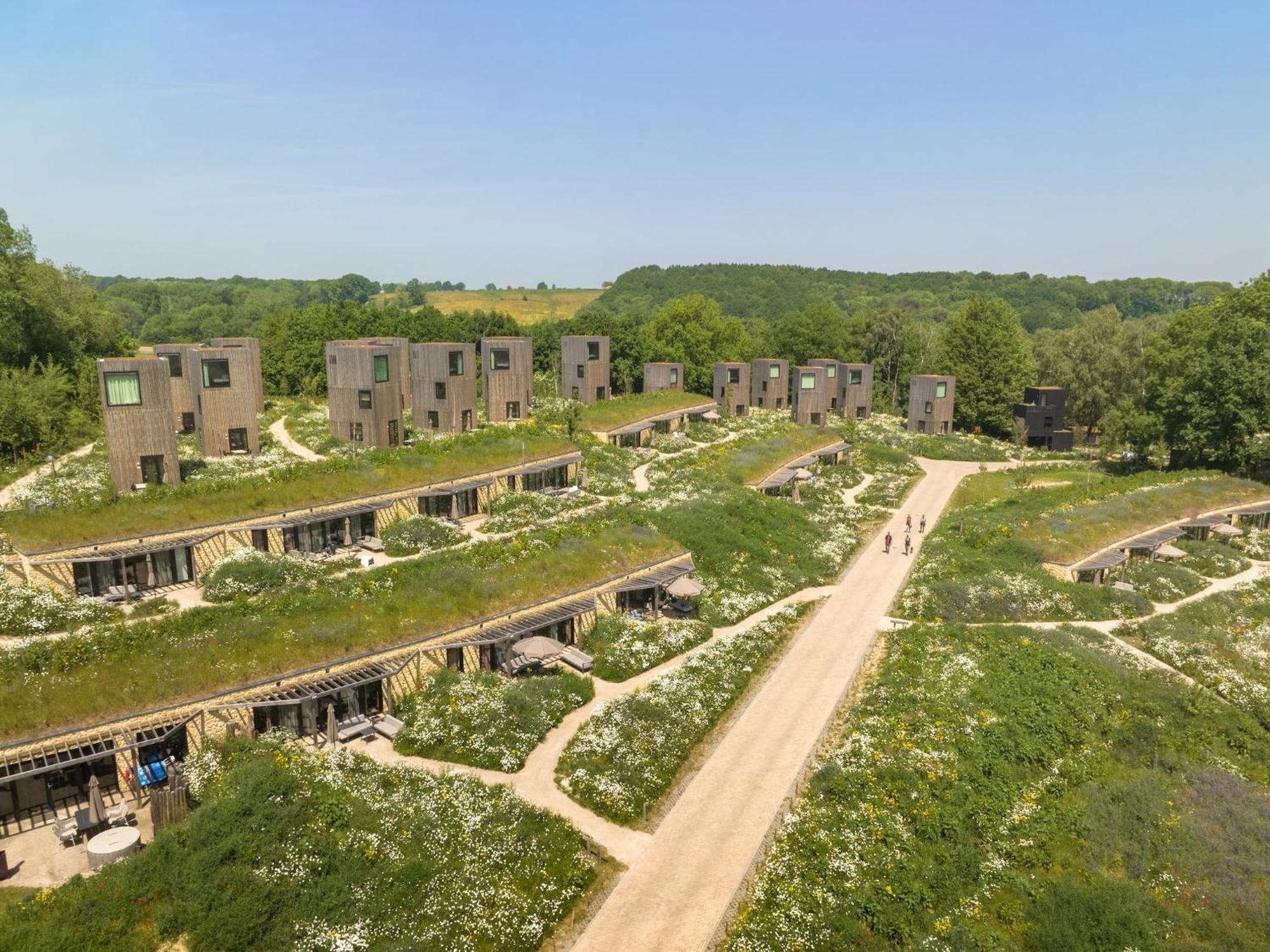 Special Hillside In *
