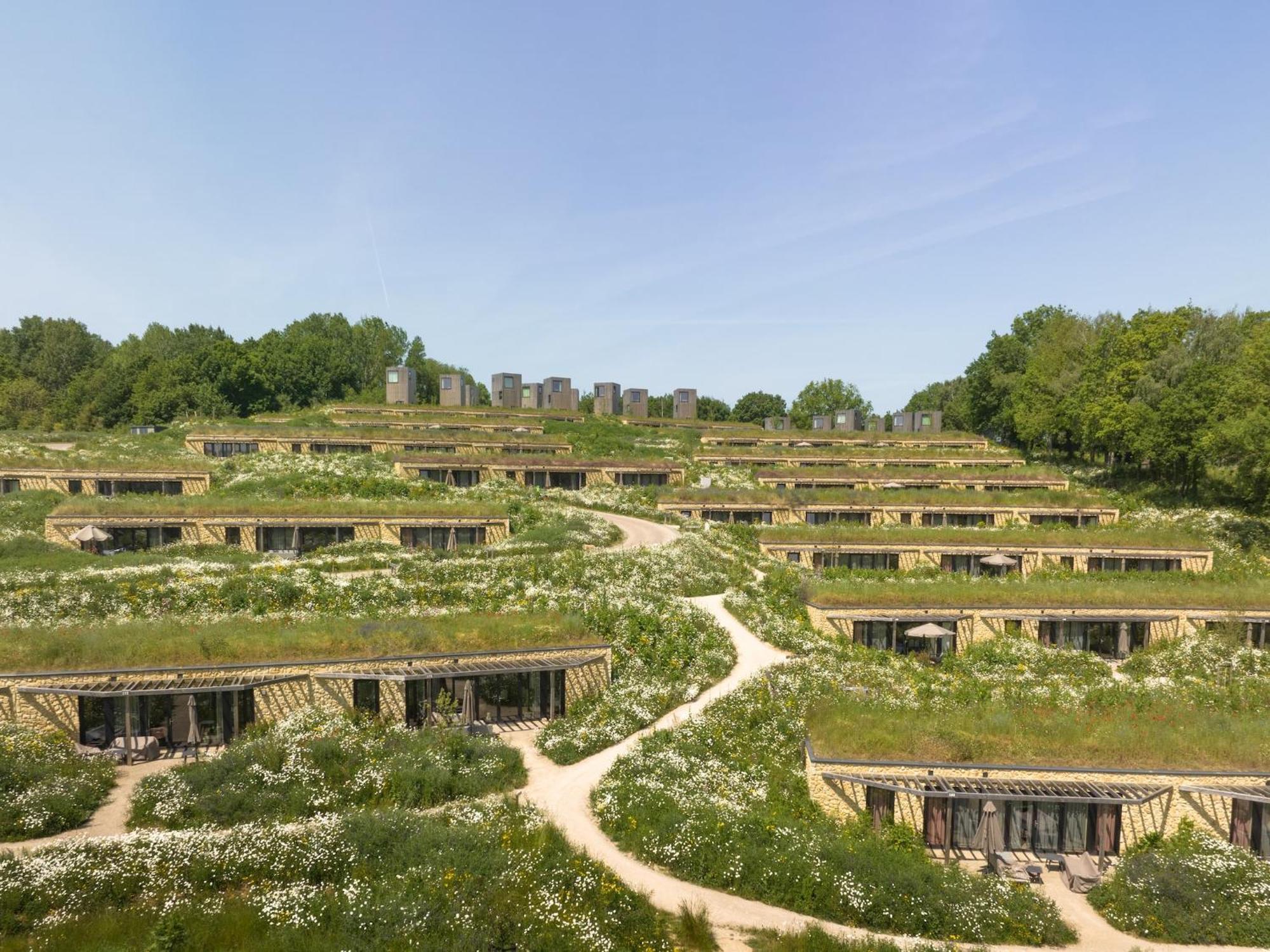 Special Hillside In